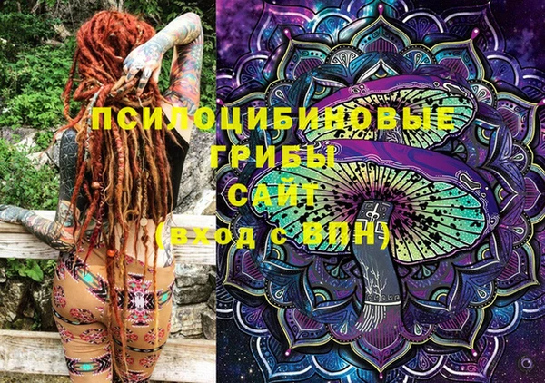 МДПВ Бугульма
