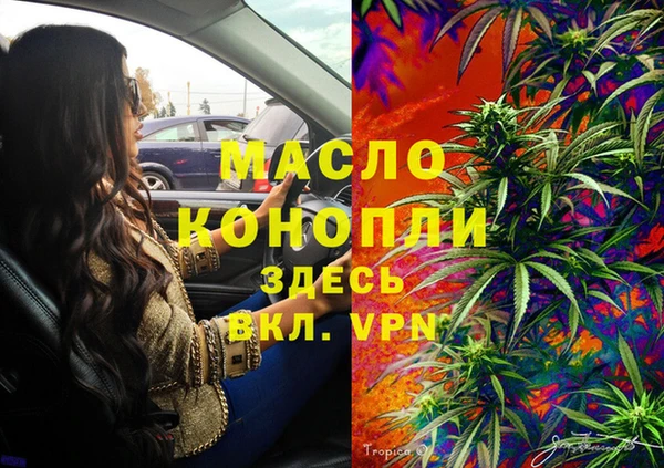 прущий лед Бородино