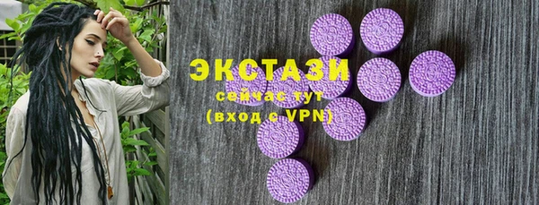 прущий лед Бородино