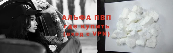 прущий лед Бородино