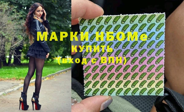 прущий лед Бородино