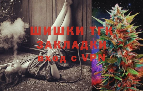 прущий лед Бородино