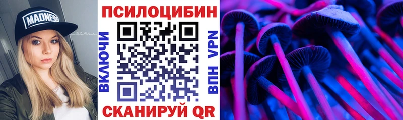 Купить закладки  Опочка  Галлюциногенные грибы Cubensis 