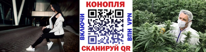 Купить где  Опочка  Марихуана MAZAR 